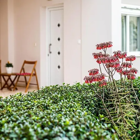 Blossom Apartment Ierapetra (Crete)